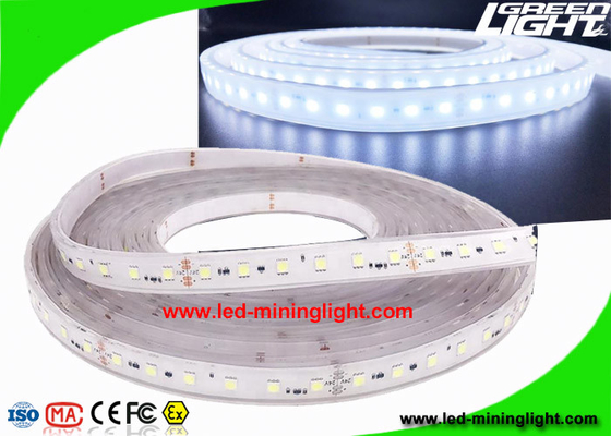Patlamaya Dayanıklı Güvenlik Ledli Esnek Şerit Şerit Işıklar 5m 300 Ledli 24V IP68