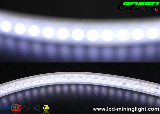 SMD5050 IP68 LED Esnek Şerit Işıklar 170VAC Silikon