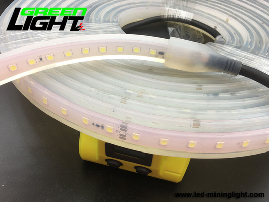 IP68 6500K SMD5050 Su Geçirmez Led Şerit Işıklar 12V RGB ATEX