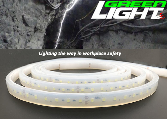 1630lum 220V 17W/M LED Esnek Şerit Işıklar Patlayıcı Önleyici RGB SMD2835