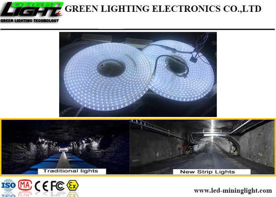 1100LM IP68 Su Geçirmez Led Şerit Işıklar 15W 110V Anti Alkali SMD5050 Silikon Malzeme